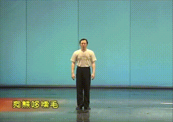 602.gif